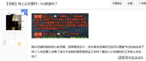 黑料网黑料大事记长清,揭秘网络黑料的演变与影响